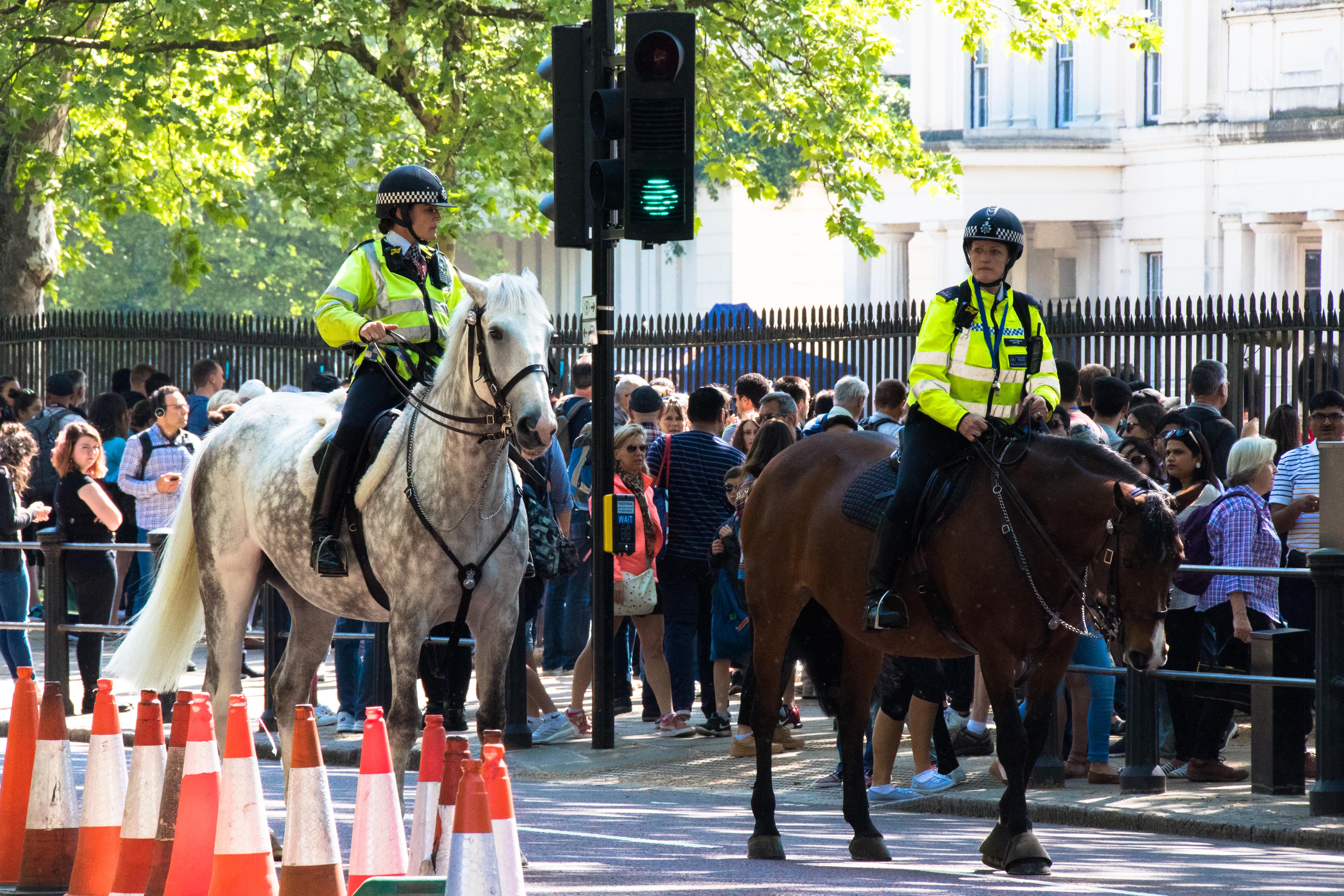 Police montée Londres-20052018-_MG_3616.jpg